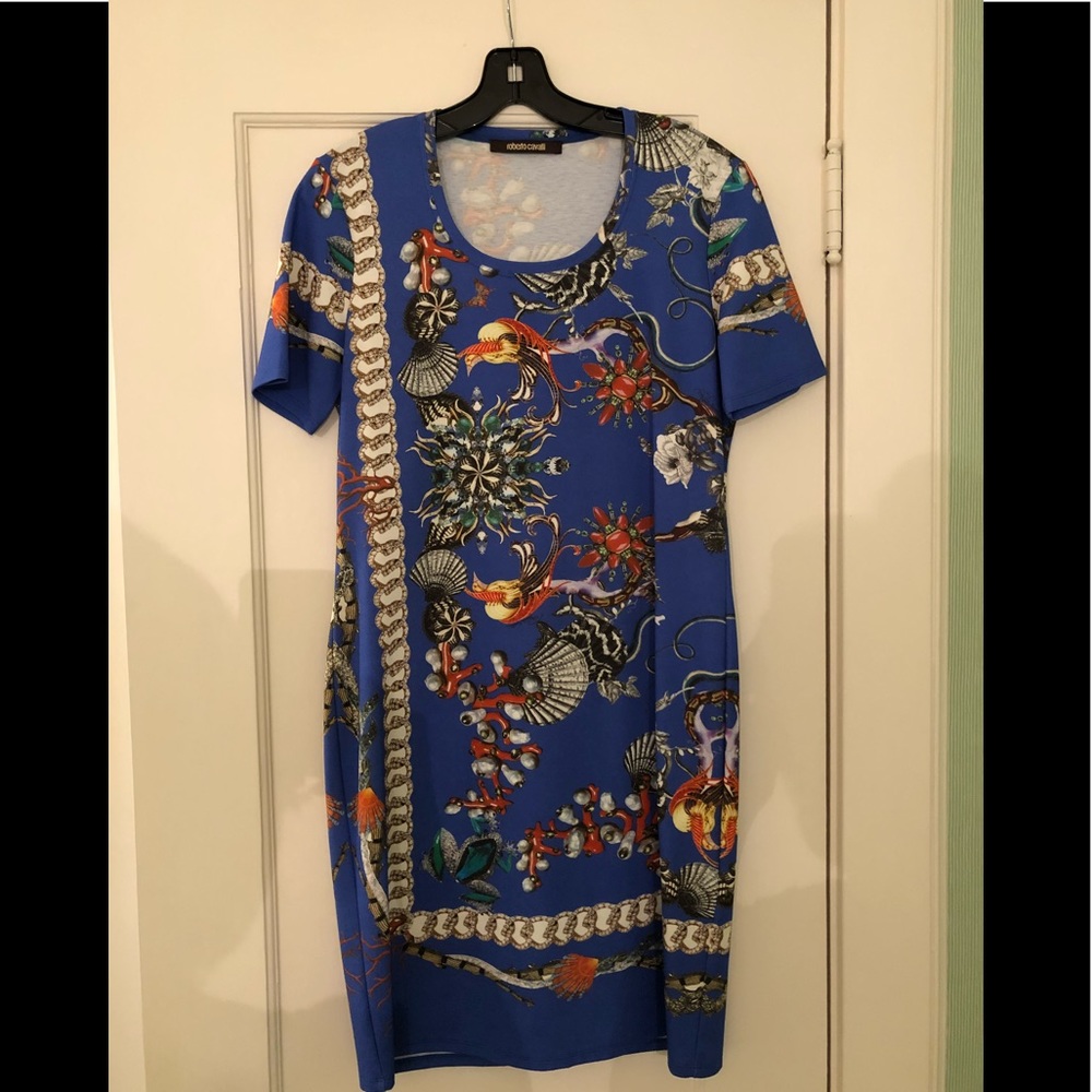 Roberto Cavalli size 46 (size 12)